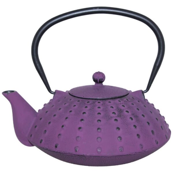 PURPLE CAST IRON TEA POT