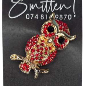 Red and Gold Pin Brooch