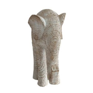 Alternative view of Elephant Sunburst