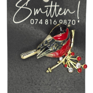 Red Robin Bird Brooch