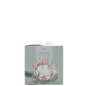 Alternative view of Protea Little Luxuries