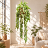 Monkeyvine Hanging Plant Ball